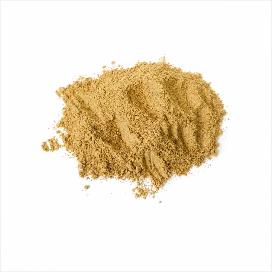 Amanita regalis powder