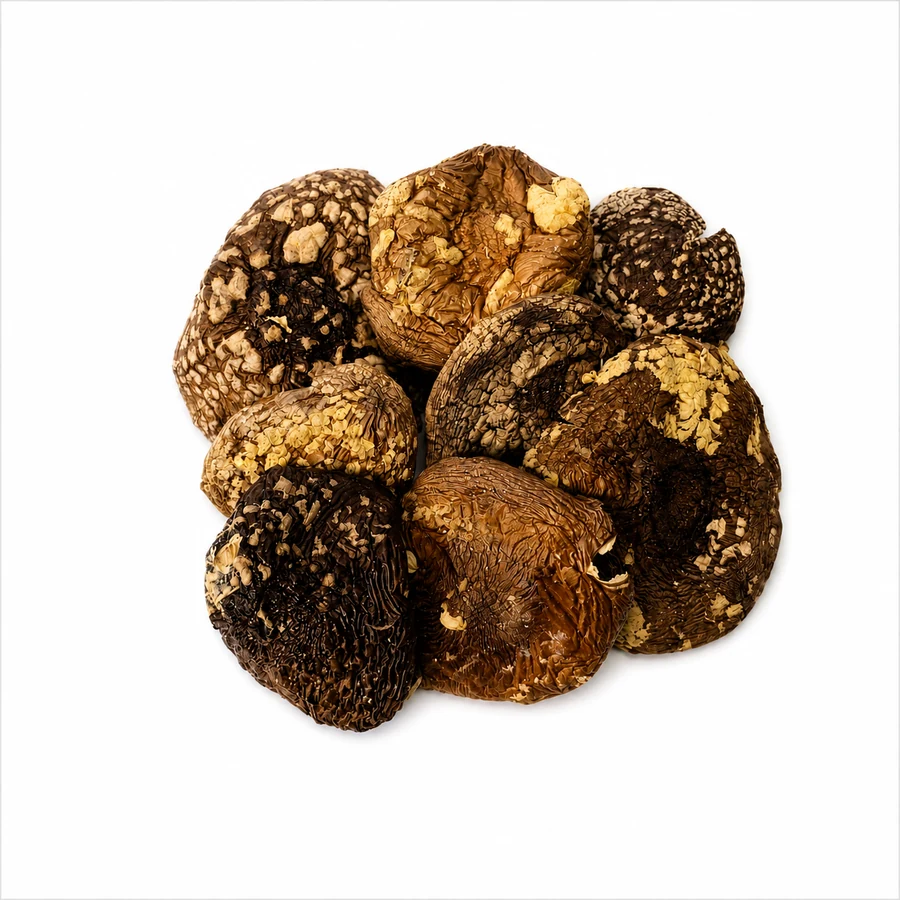 Amanita regalis whole caps - Top Grade