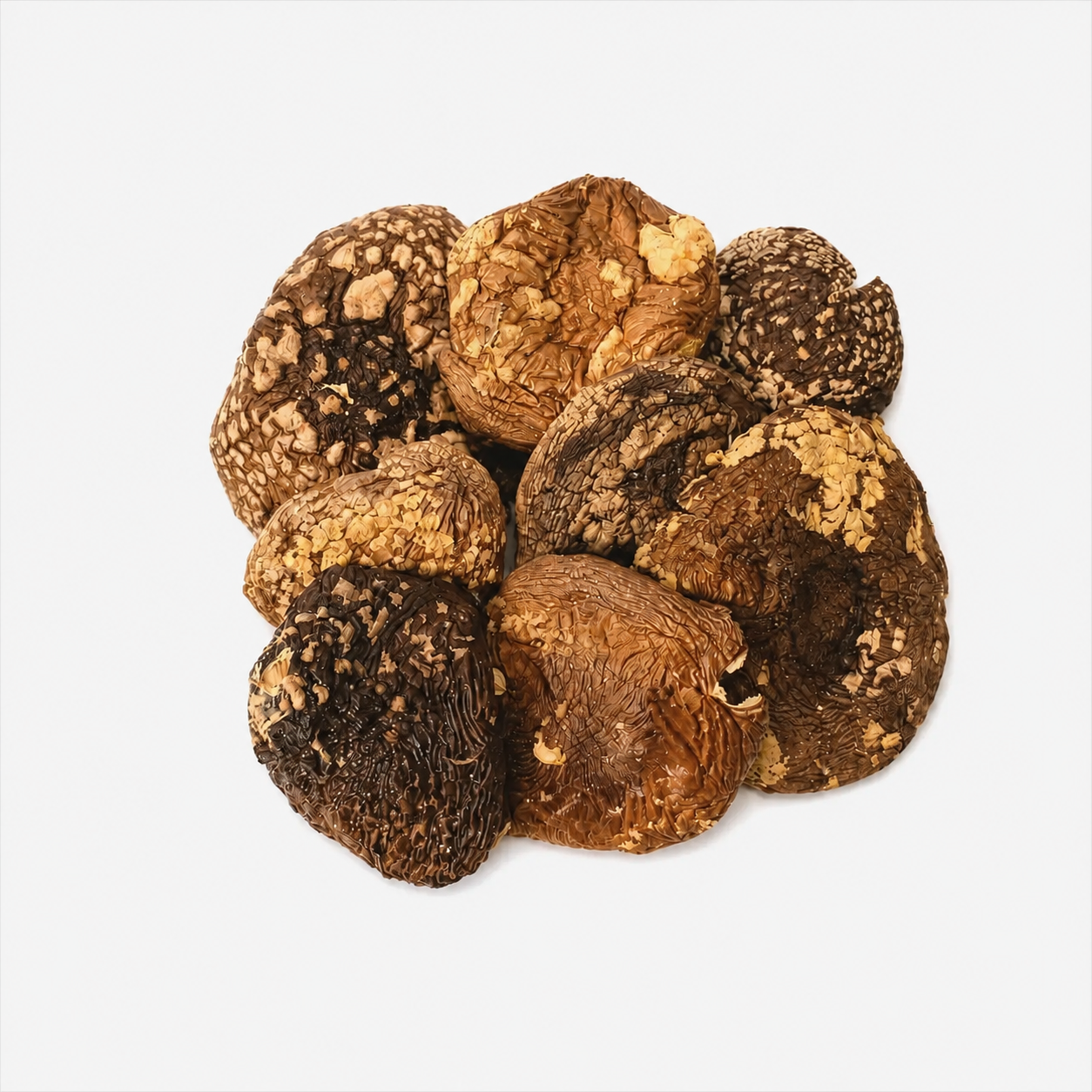 Amanita regalis whole caps - Top Grade
